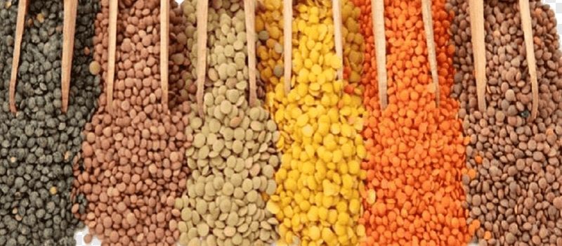 Dals & Pulses