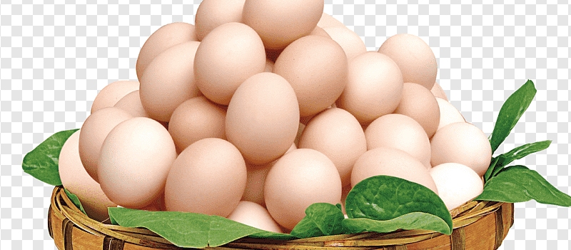 Egg