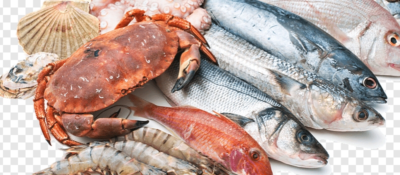 Fish & Seafood